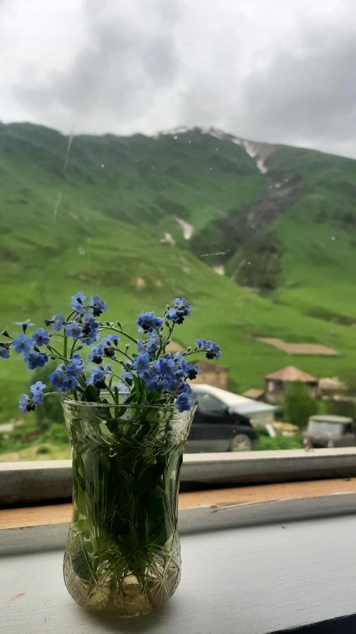 Guesthouse Svanuri Sakhli Ušguli Exteriér fotografie